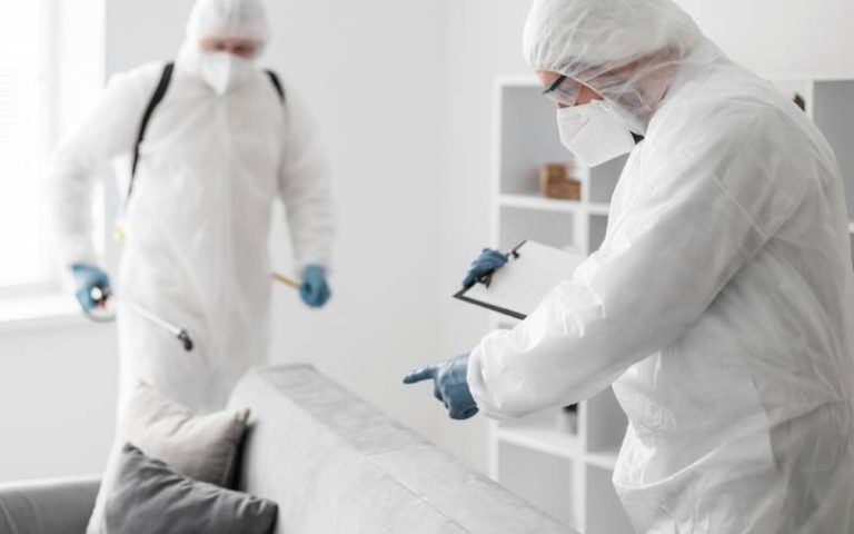 Bed Bugs Are More Common Than You think